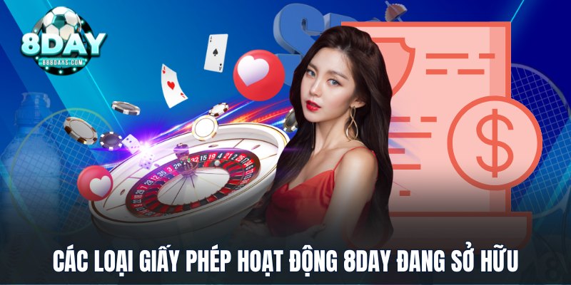 Các loại giấy phép hoạt động 8DAY đang sở hữu