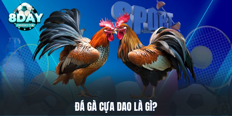 Đá gà cựa dao là gì?