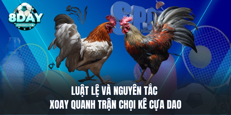 Luật lệ và nguyên tắc xoay quanh trận chọi kê cựa dao