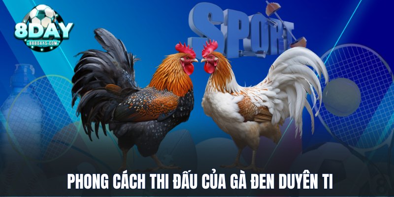 Phong cách thi đấu của gà đen Duyên Ti