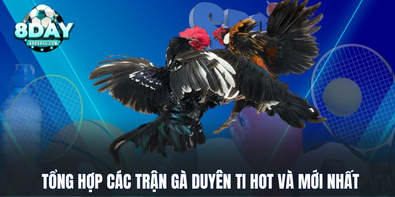 Tổng hợp các trận gà Duyên Ti hot và mới nhất