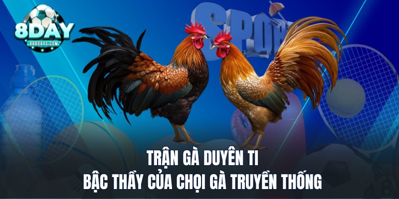 Trận đá gà duyên ti bậc thầy của chọi gà truyền thống